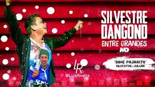 Dime pajarito (Audio) - Silvestre Dangond & Julian Rojas - Entre Grandes Tour 2019