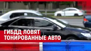 В Самаре пройдут масштабные рейды «тонировка»