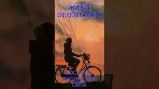 Живи осознанно #shorts Ирина Белова