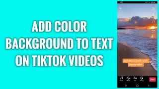 How To Add Color Background To Text On TikTok Videos