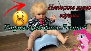 Истерика у Есении 😯 Утро с реборном Есенией Написяла мимо горшка? Разлила кашу MORNING WITH REBORN