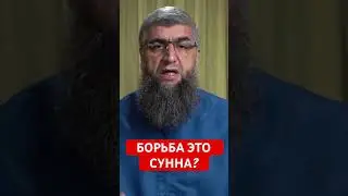 МОЖНО ЛИ ИЗДЕВАТЬСЯ НАД БОРЬБОЙ?