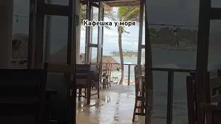 Кафе у моря ТОП