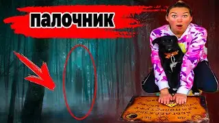 Палочник в реальной жизни! Гигантское Существо Сняли На Камеру! Палочник  сбежал в лес