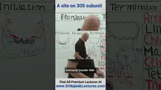 A Site On 30S Subunit #drnajeeb #drnajeeblectures #shortvideostatus