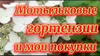 Мои покупки🌹Какие сорта ещё купила😊