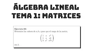 ejercicio 02 rango de una matriz con parámetros || álgebra lineal tema 1 matrices