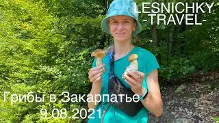 Первый поход 2021 за грибами в Закарпатье