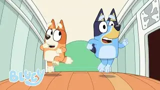 Bluey Temporada 1 Episodios Completos | Bluey 💙 Español Canal Oficial 🇪🇸