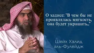 О хадисе: "В чем бы не проявлялась мягкость, она будет украшать...." | Шейх Халид аль-Фулейдж