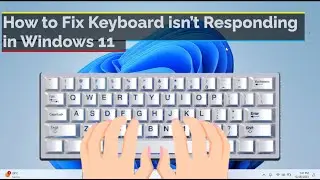 How to Fix Keyboard Lagging or Slow Response on Windows 11