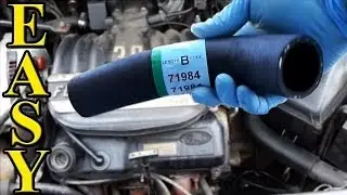 How to Replace a Radiator Hose (Upper and Lower)