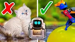 Cozmo Tries GENIUS Pet Life Hacks from 5-Minute Crafts