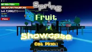 Spring Fruit Showcase | Cat Piece