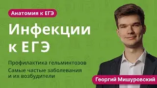 6.117. Инфекции | Анатомия к ЕГЭ | Георгий Мишуровский