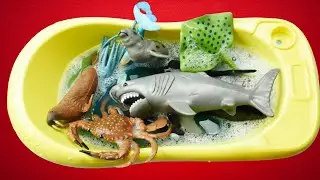 sea animals shark, seal, stingray, orca, penguin, whale, starfish, turtle, daulphin, toys sea animal