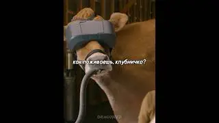 20 метровая корова кормит всю деревню😱 