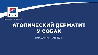 Вебинар на тему: “Атопический дерматит у собак”. Лектор - Владимир Руппель.