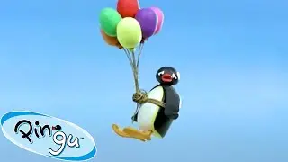 Taking Flight! 🐧 | Pingu - Official Channel | Cartoons For Kids