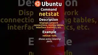 How to see network connections in 