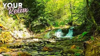 Relaxing white noise. Sounds of a waterfall with a croaking frog. 3 hours of video in 4K.