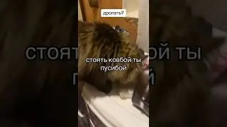 стоять ковбой #shorts