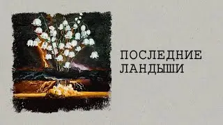 STERVELL - Последние ландыши (Lyric video 2024)