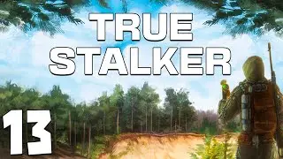 S.T.A.L.K.E.R. True Stalker #13. Бандитские Дебри