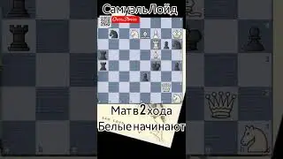 🧠 задача Лойда 45. Мат в 2 хода. #chess_stories_shorts #chess #шахматы #задачи #шахматныезадачи