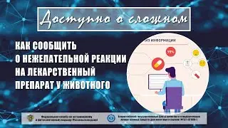 Видеоинструкция: как сообщить о нежелательной реакции на лекарственный препарат у животного