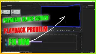 How to fix Black Screen Playback Problem in Premiere Pro