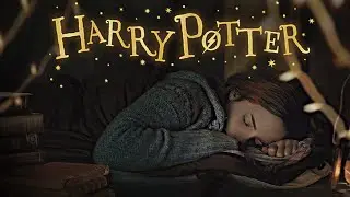 ASMR 😴 Sleep in the Magical Tent with Harry, Ron & Hermione / Ambience & Soft Music - RAIN sounds