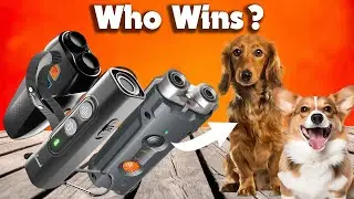 Best Dog Repeller | Who Is the Winner #1?