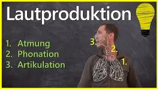 Lautproduktion - Atmung, Phonation und Artikulation