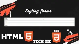 Learn to Style Forms with CSS |Tech-Zie