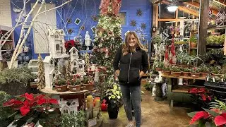 Christmas at the Garden Center Tour! 🎅🎄😍 // Garden Answer