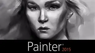 Custom User Interface Palette Arrangements - Painter 2015