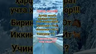 Сиз топа оласизми? #савол #саволучавоб #rekomendasi #ibratlisozlar #вопросы #uzbekistan #reels