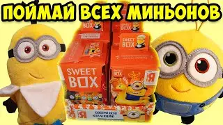 ВСЯ КОЛЛЕКЦИЯ МИНЬОНОВ ИЗ СВИТБОКСА / ПОЙМАЙ ВСЕХ МИНЬОНОВ / МИНЬОНОМАНИЯ В МАГНИТЕ