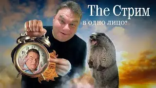 Мятежный Башкортостан, Прорывная зима, Очереди за Надеждиным.  The стрим в одно лицо.