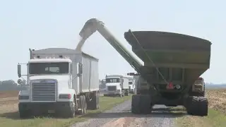 Francine’s approach has Arkansas farmers hurrying to harvest ahead of storm