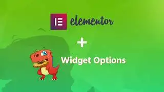 Widget Options Elementor Pagebuilder Support