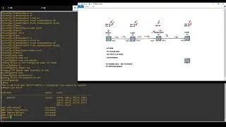 How to use VTP on Cisco switches