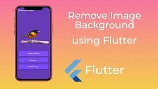 Remove Image Background using Flutter | Image Background Remover API Integration | Flutter GetX API