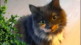 - Ты откуда взялась? - ошалев от удара, Сушка поднялась на лапки, не зная, что делать…