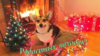 С наступающим Новым годом!