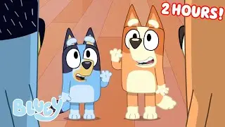 Bluey Seasons 1, 2, and 3 FULL EPISODES 💙 | Unicorse, Faceytalk, Pass the Parcel, and More! | Bluey