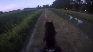 GoPro Horse - Passeggiata in campagna a Sottomarina (VE)