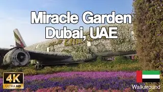 [4K] 🇦🇪 DUBAI MIRACLE GARDEN #uae #dubai #miraclegarden #unitedarabemirates