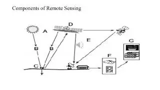 unit 1 1 RS components